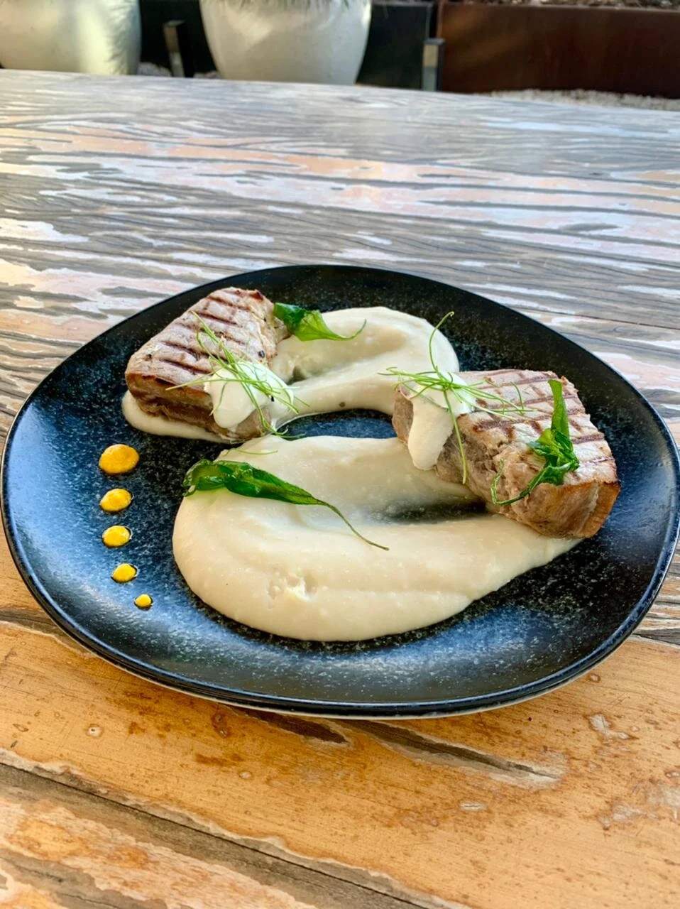   ATUM SELADO COM PURÊ DE COUVE FLOR, CHIPS DE ALHO PORÓ NA ESPUMA DE LIMÃO SICILIANO    Sealed tuna with cauliflower puree, leek chips in Sicilian lemon foam   R$87,00     