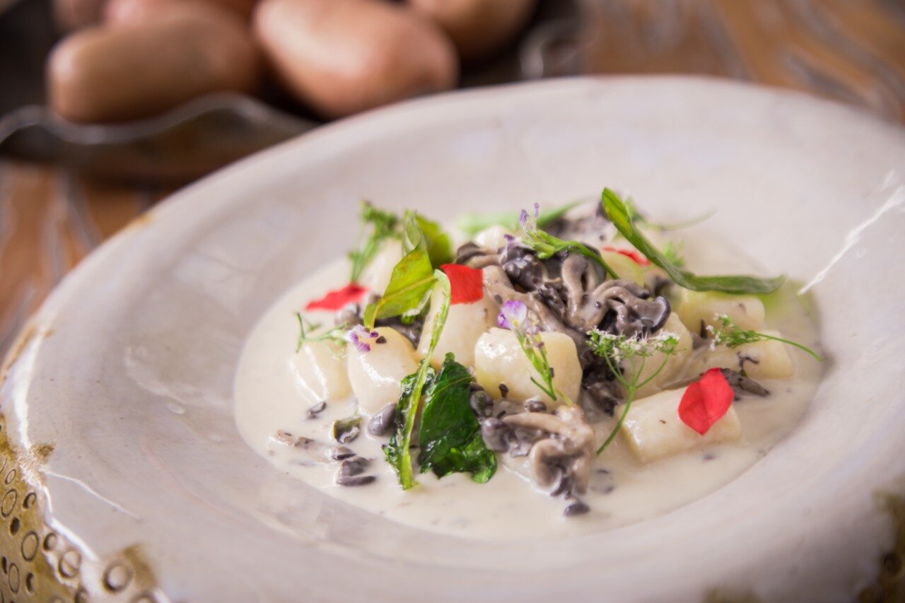   NHOQUE SEM GLÚTEN AO MOLHO CREMOSO DE COGUMELOS    Gluten-free gnocchi with creamy mushroom sauce    R$ 76,00 