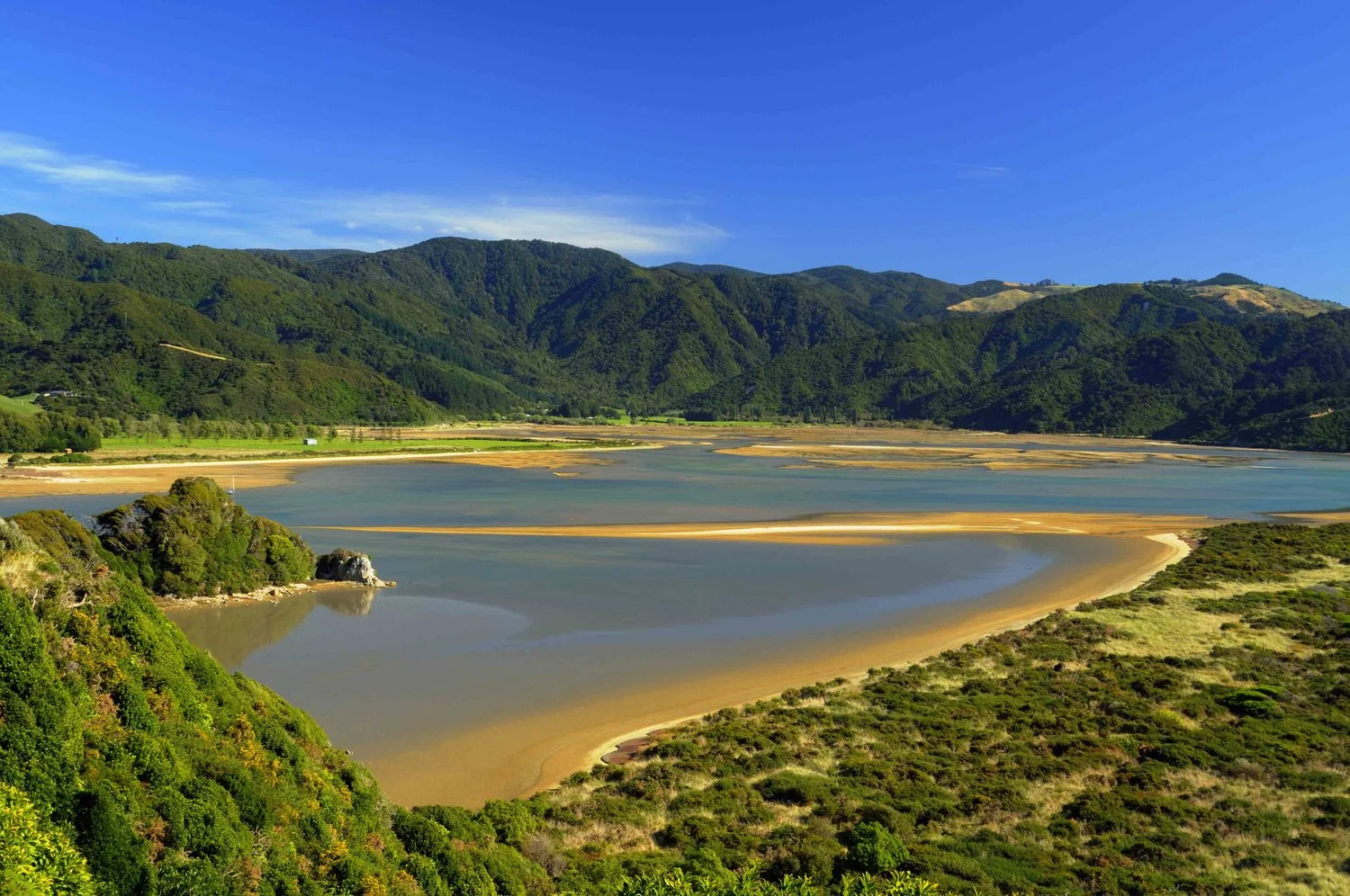 Abel Tasman Trap Check