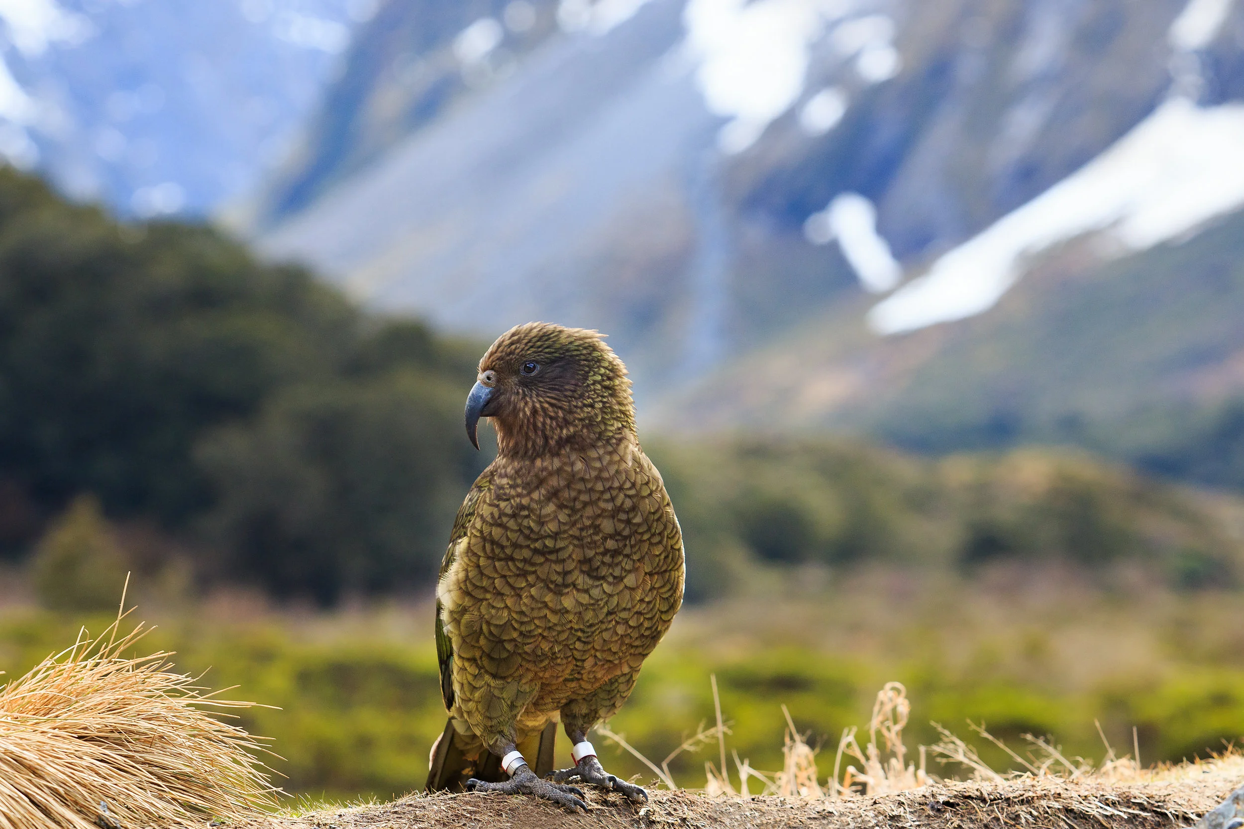 AdobeStock_175036907.jpeg