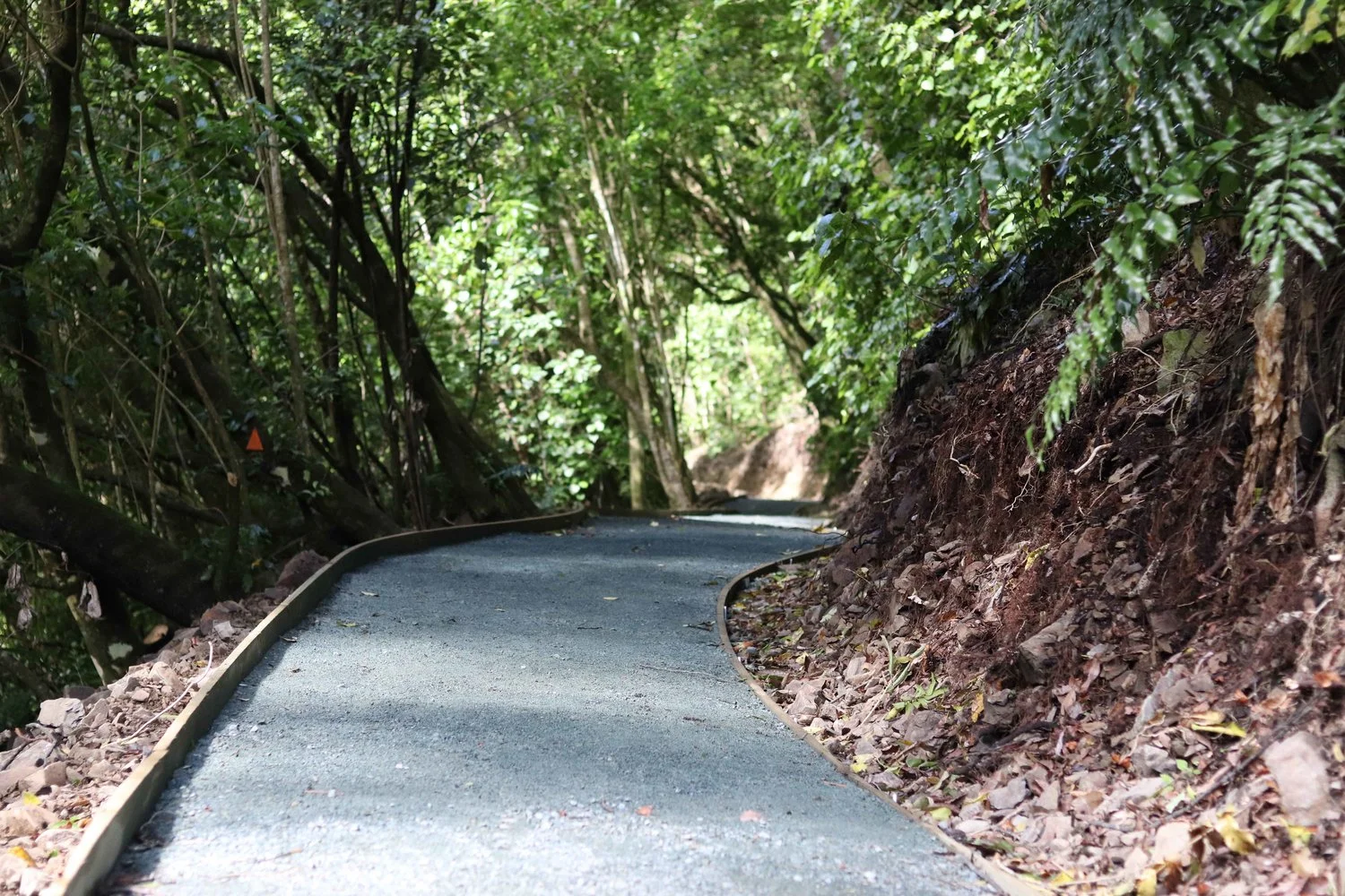 Upgrade of Brook Waimarama Sanctuary 