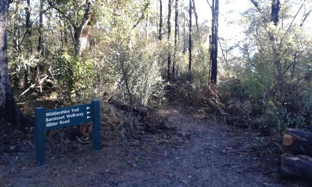Widdershin Track Construction