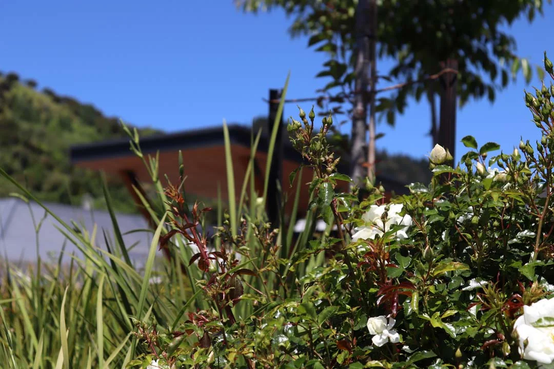 Manuka Street Hospital