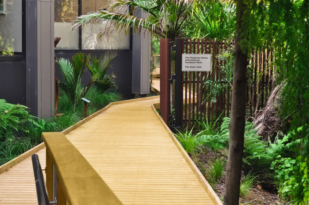 SUTER WALKWAY (74)Downsize.jpg