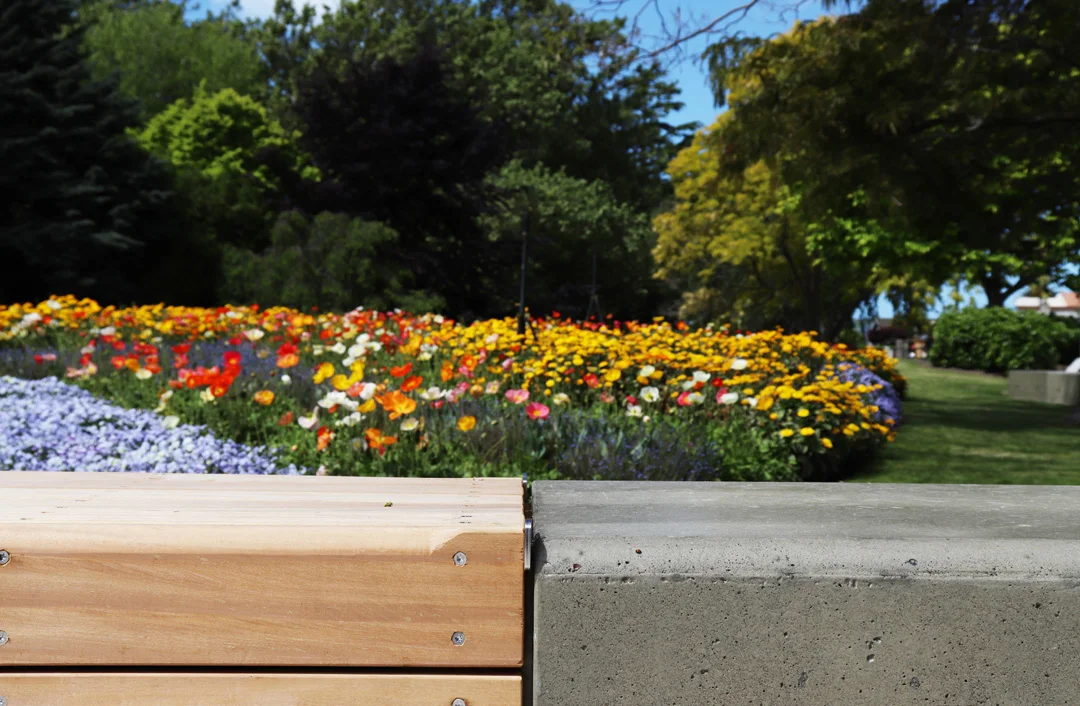 2018-11-02 14.34.04_2.jpg