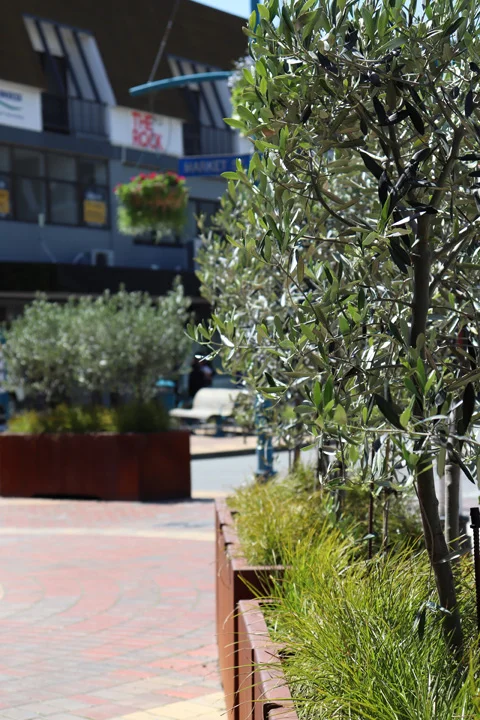 2018-11-02 13.04.27.jpg