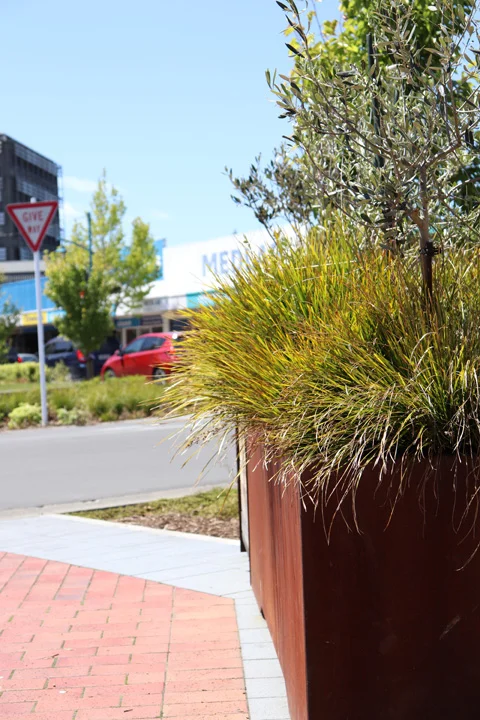 2018-11-02 12.55.33.jpg