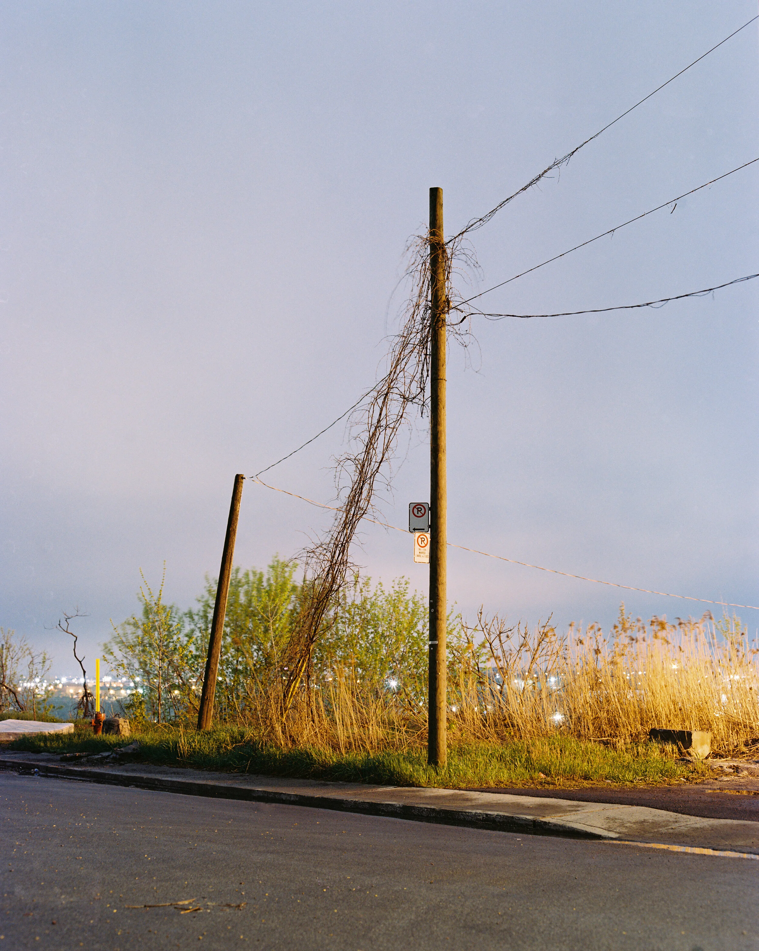js2397bp4n001810-R1-E020-Edit.jpg