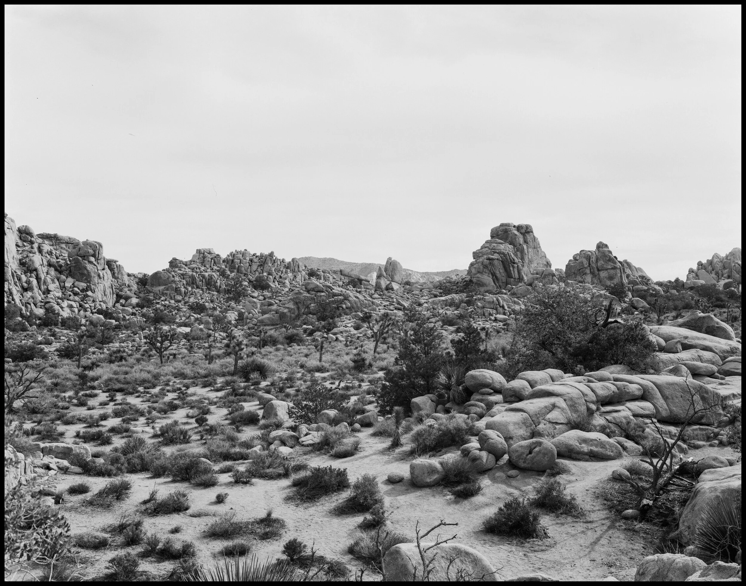 11x14 handmade darkroom print, edition of 10