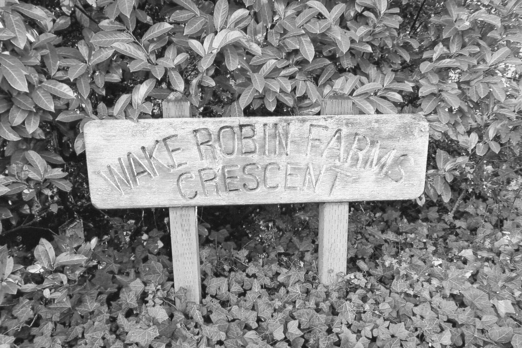 Eastside Stories: The Wake Robin Lodge