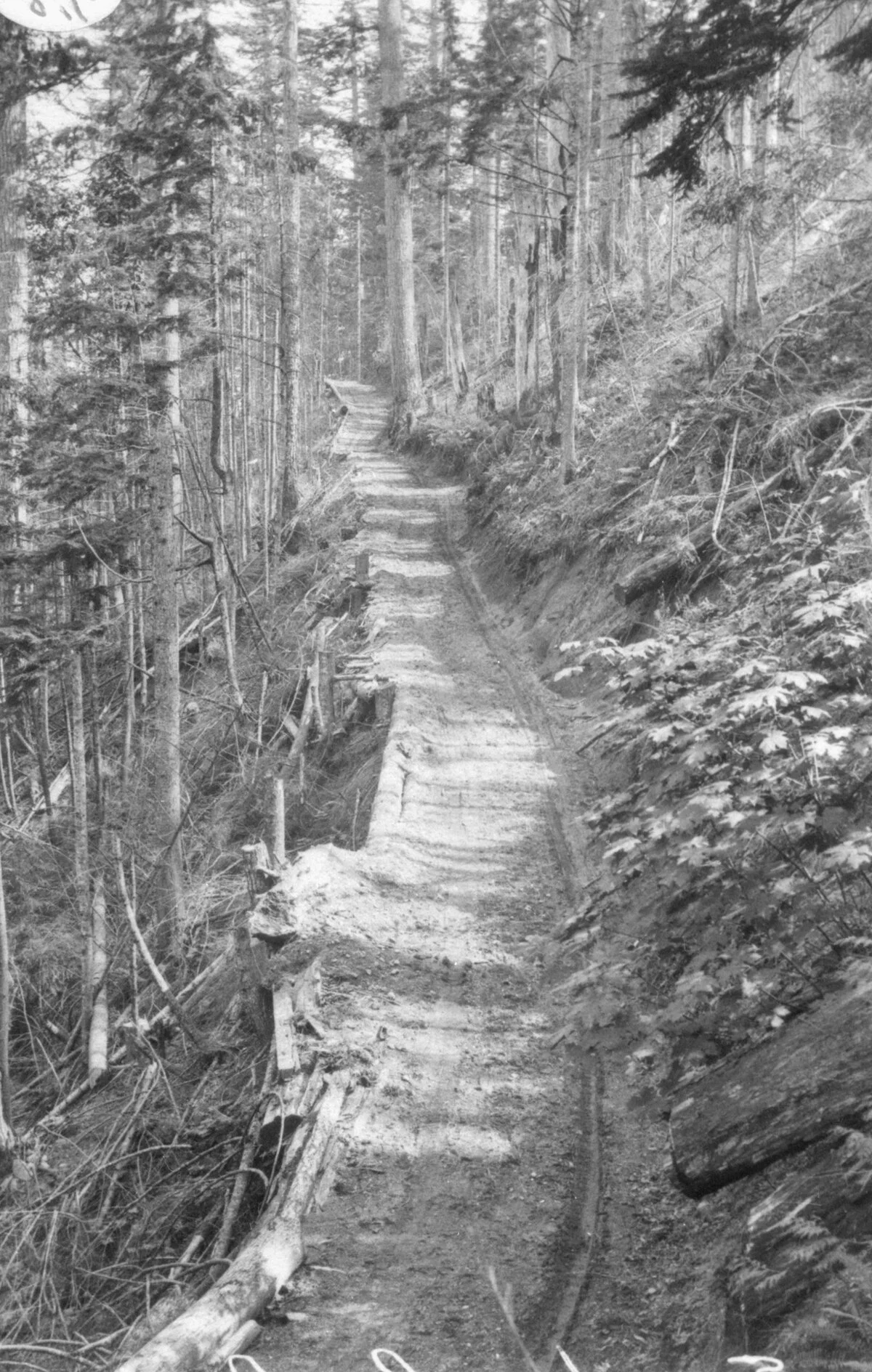 A History of Snoqualmie Part 3: Conceiving the First Roads Through the Cascades