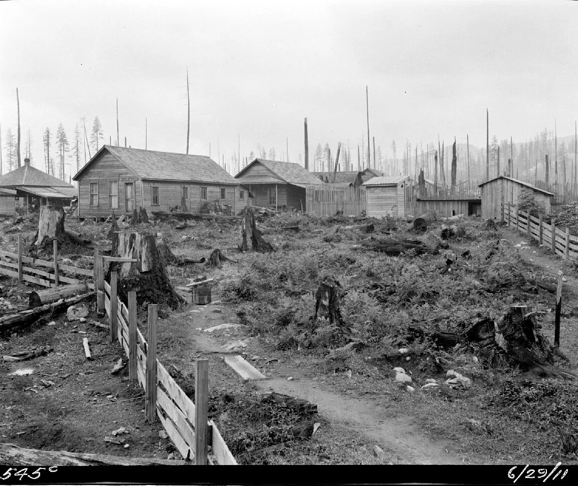 Archaeology Around Japanese American Communities at Barnestown