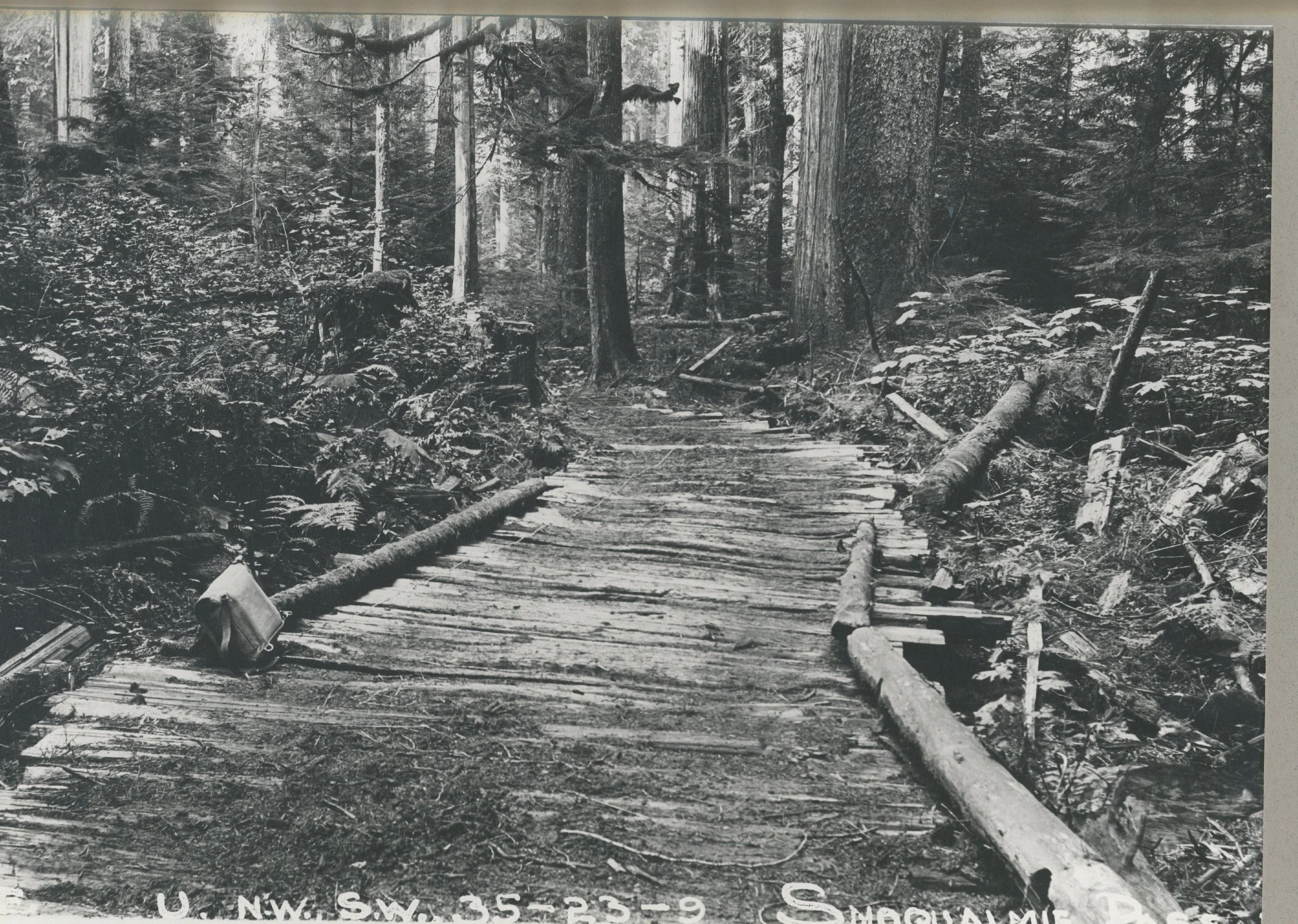 A History of Snoqualmie: Finding Funds for a Road by Lobbying, Taxing, and Swindling