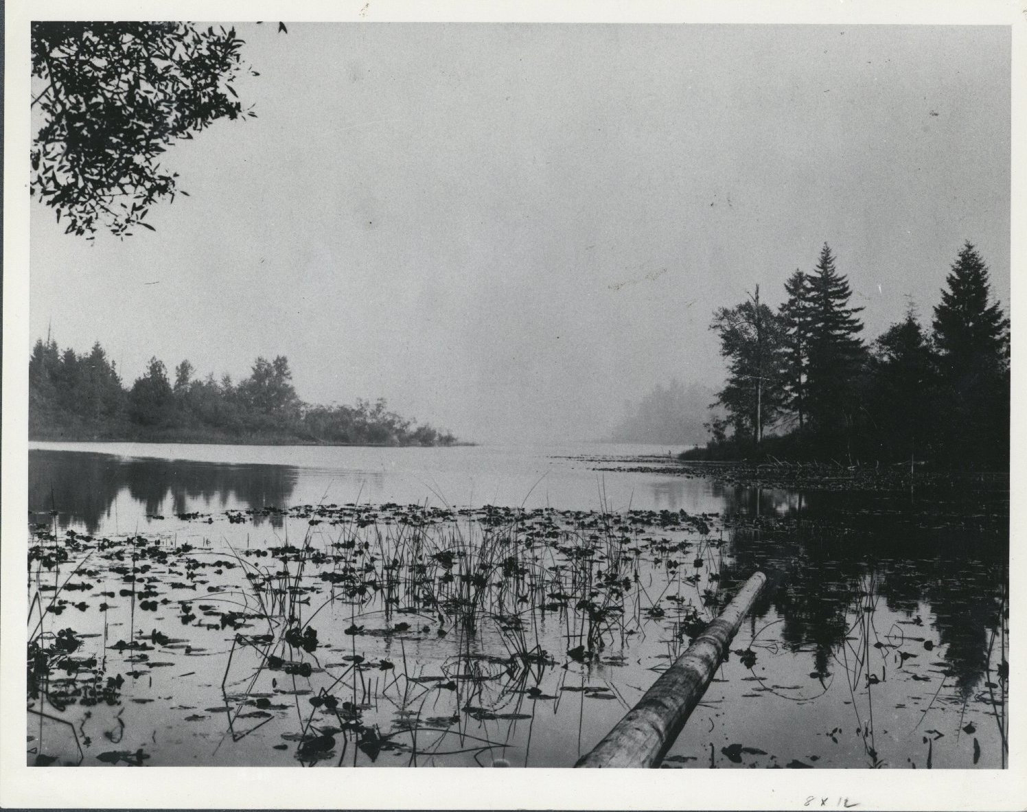 Native Americans of Puget Sound and the Eastside Part One