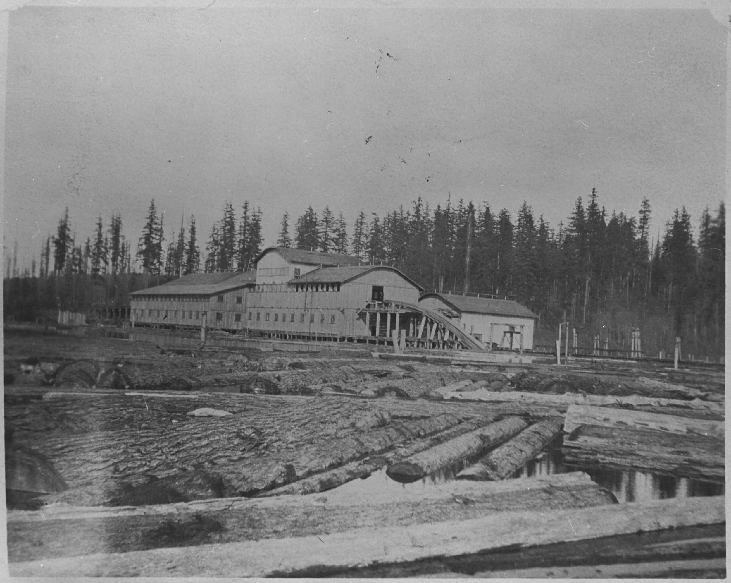 The Campbell Lumber Mill