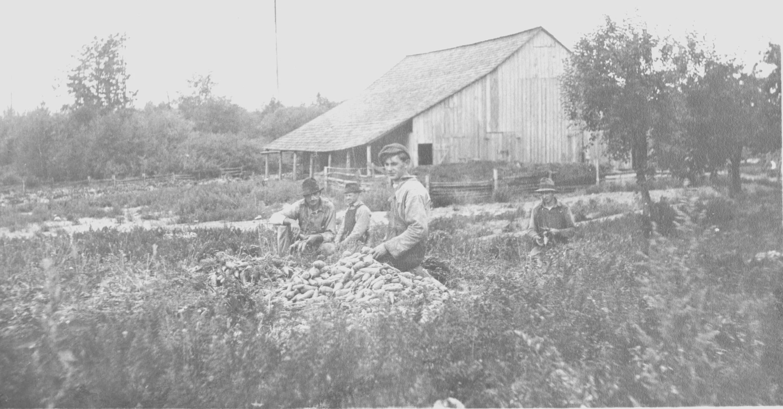 Larsen Lake Cabin Heritage Program at Larsen Lake Blueberry Farm