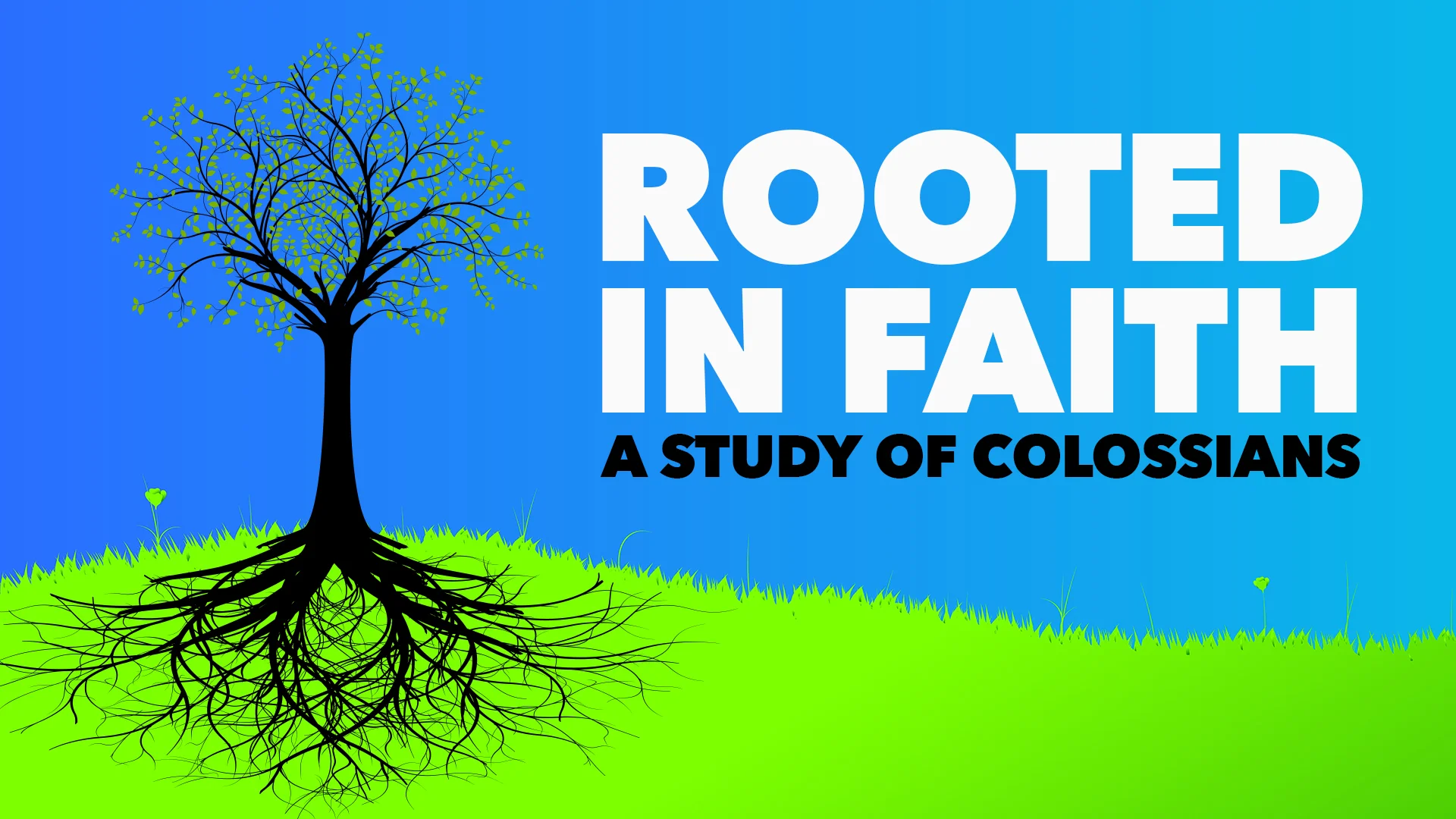 Rooted in the Faith