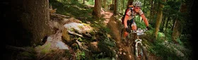 banner-content-4.jpg