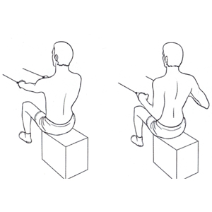 Seated Row Back Exercise 