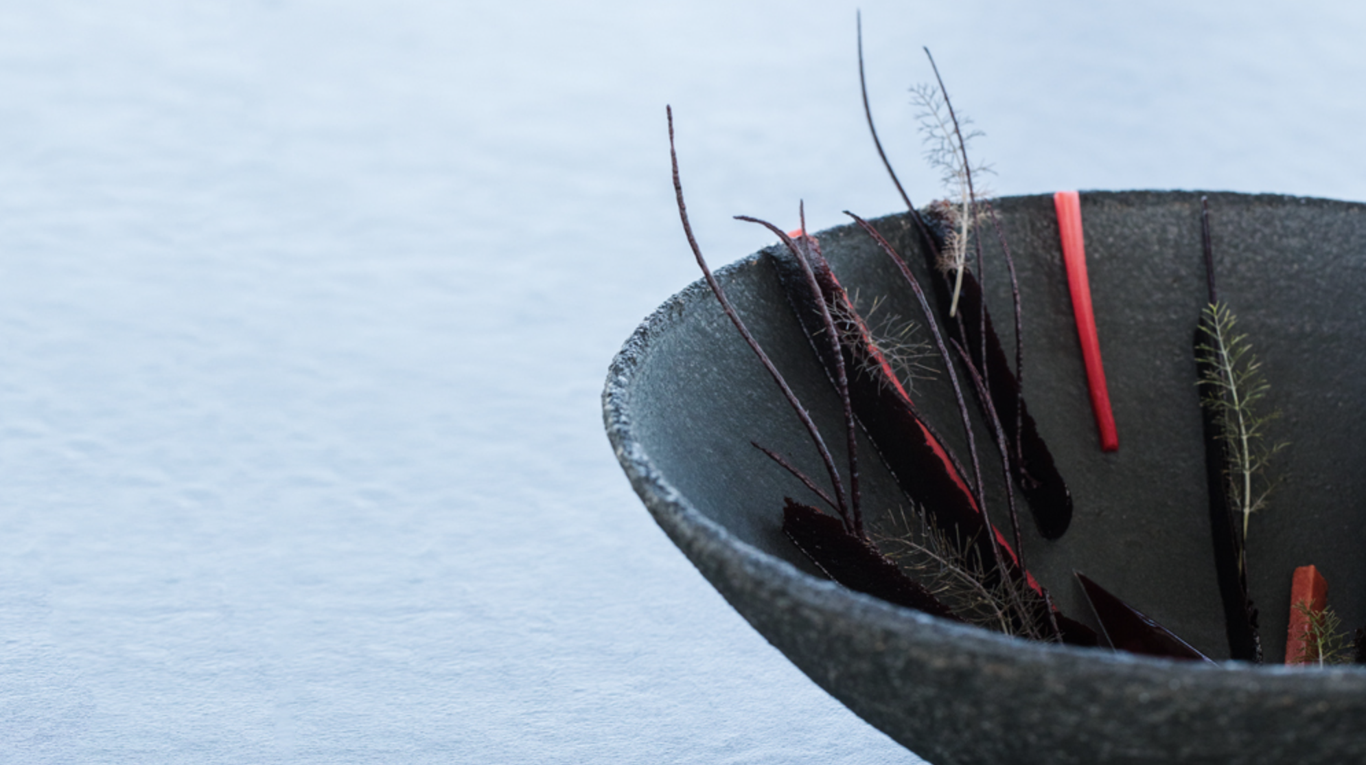 Black raspberry, meadowsweet, black carrot Photo: Jessica Sample Ceramic vessel by MATCH stoneware