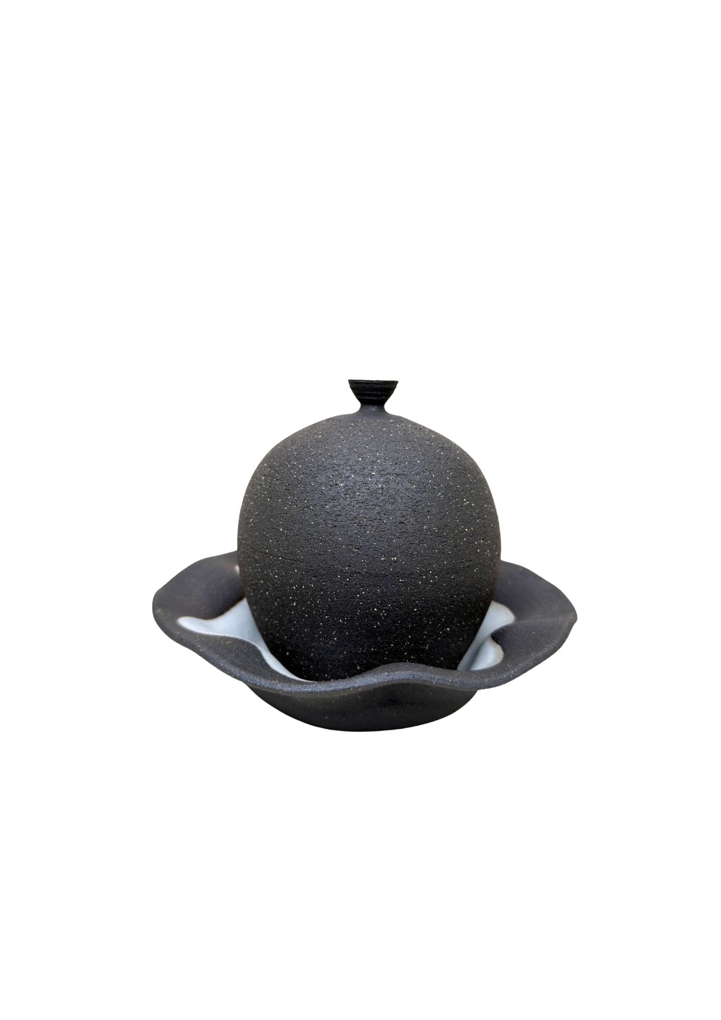 Cloche #101