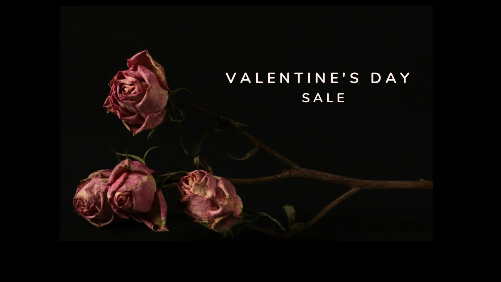 Screenshot 2026-02-05 at 2.49.31 pm.png