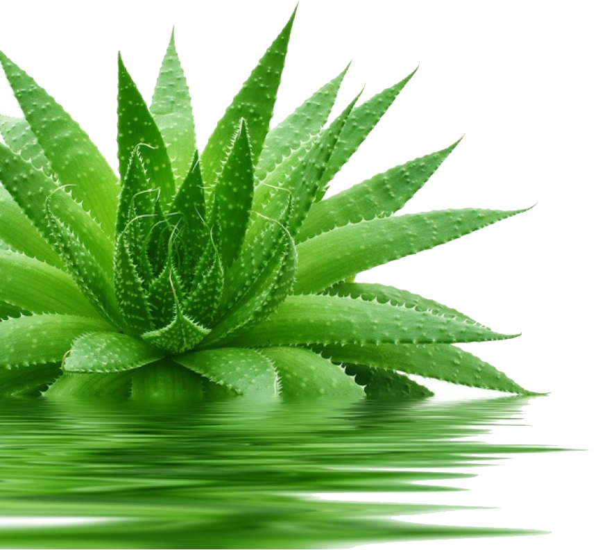 UTB8aSiza__IXKJkSalU761BzVXaw.png