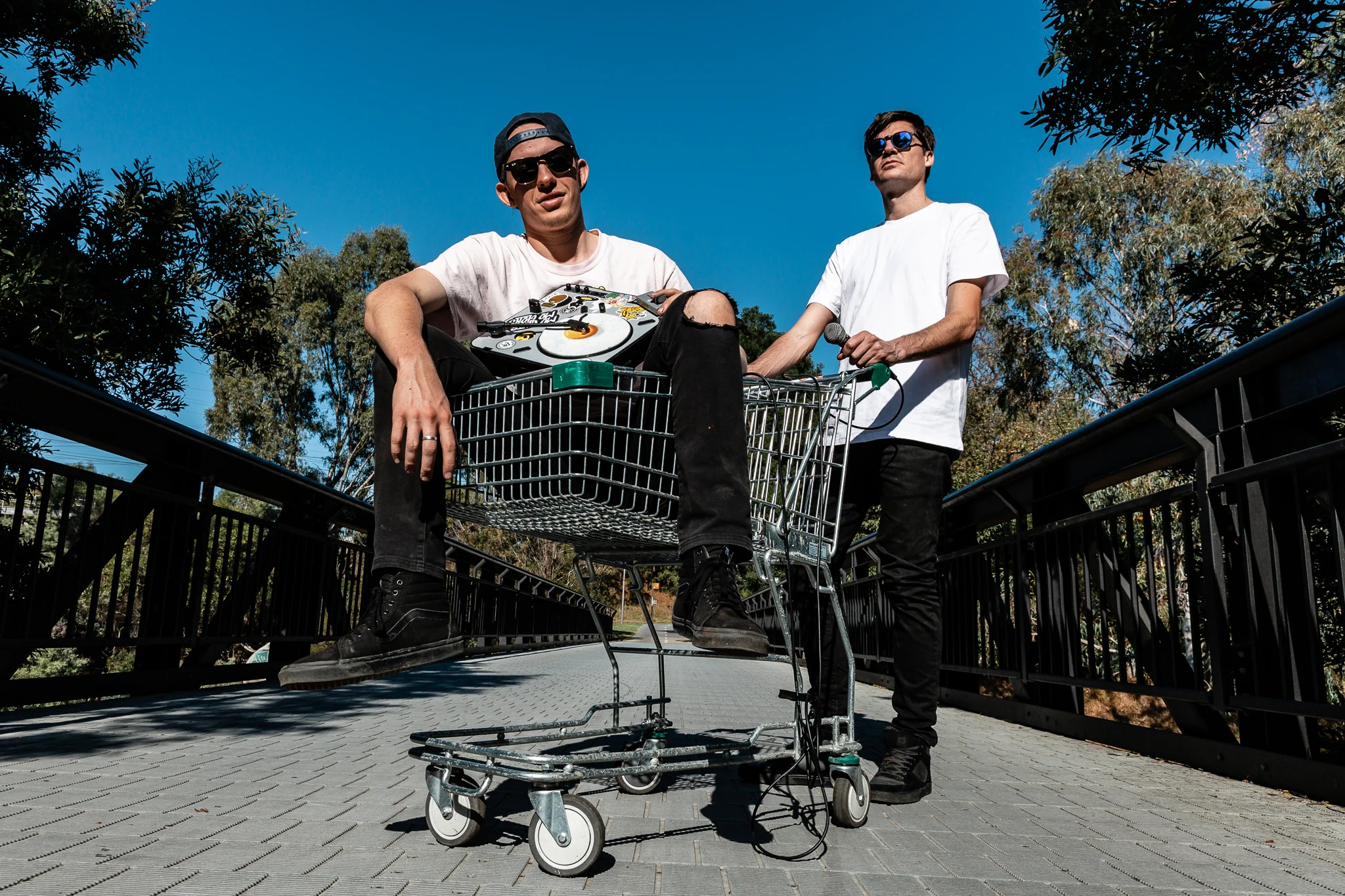 musicians-turntable-microphone-shopping-trolley.jpg