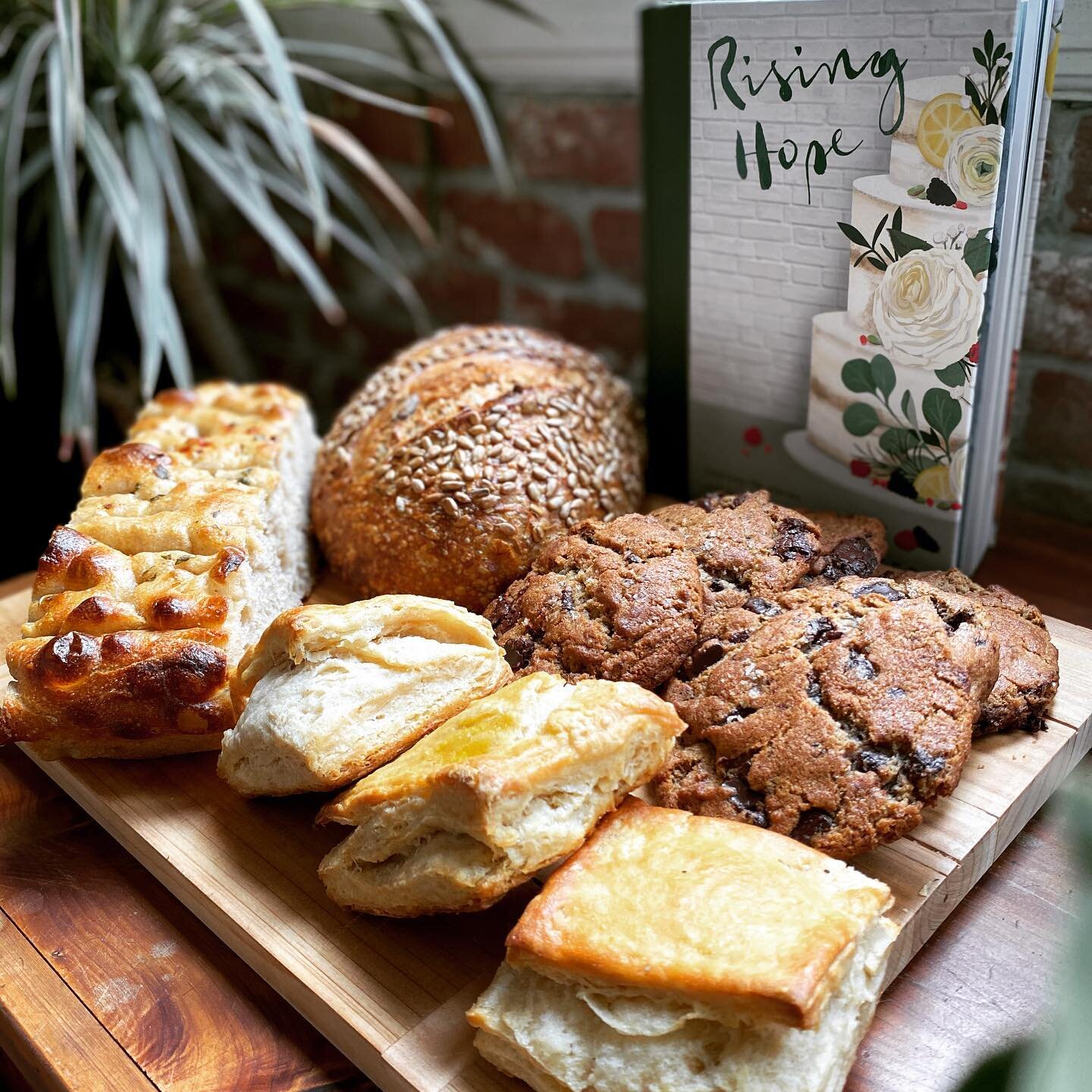 Y&rsquo;all. Bakeries are no easy feat.
🌿
precision, the game
efficiency, the task
purpose filled sustainability, the goal
🌿
It&rsquo;s been my greatest joy to work alongside @luminarybakery for years and to watch my favorite neighborhood bakeries 