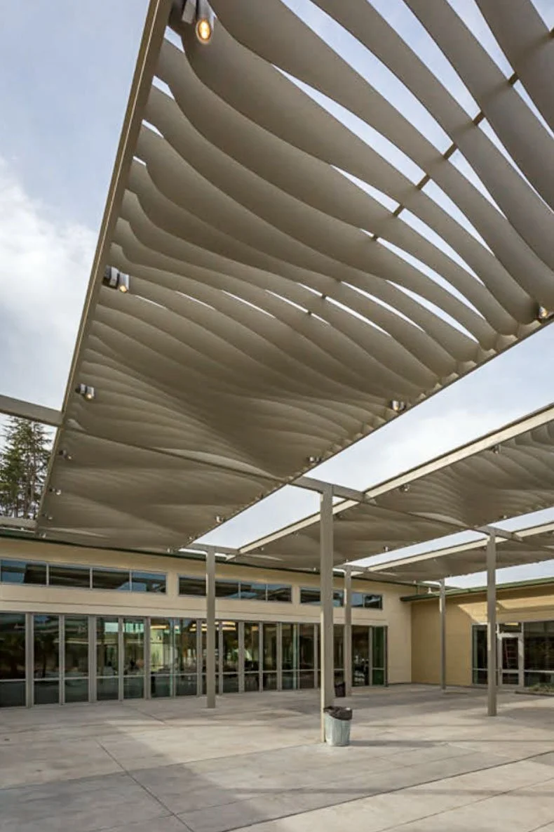 trellis completion.jpg