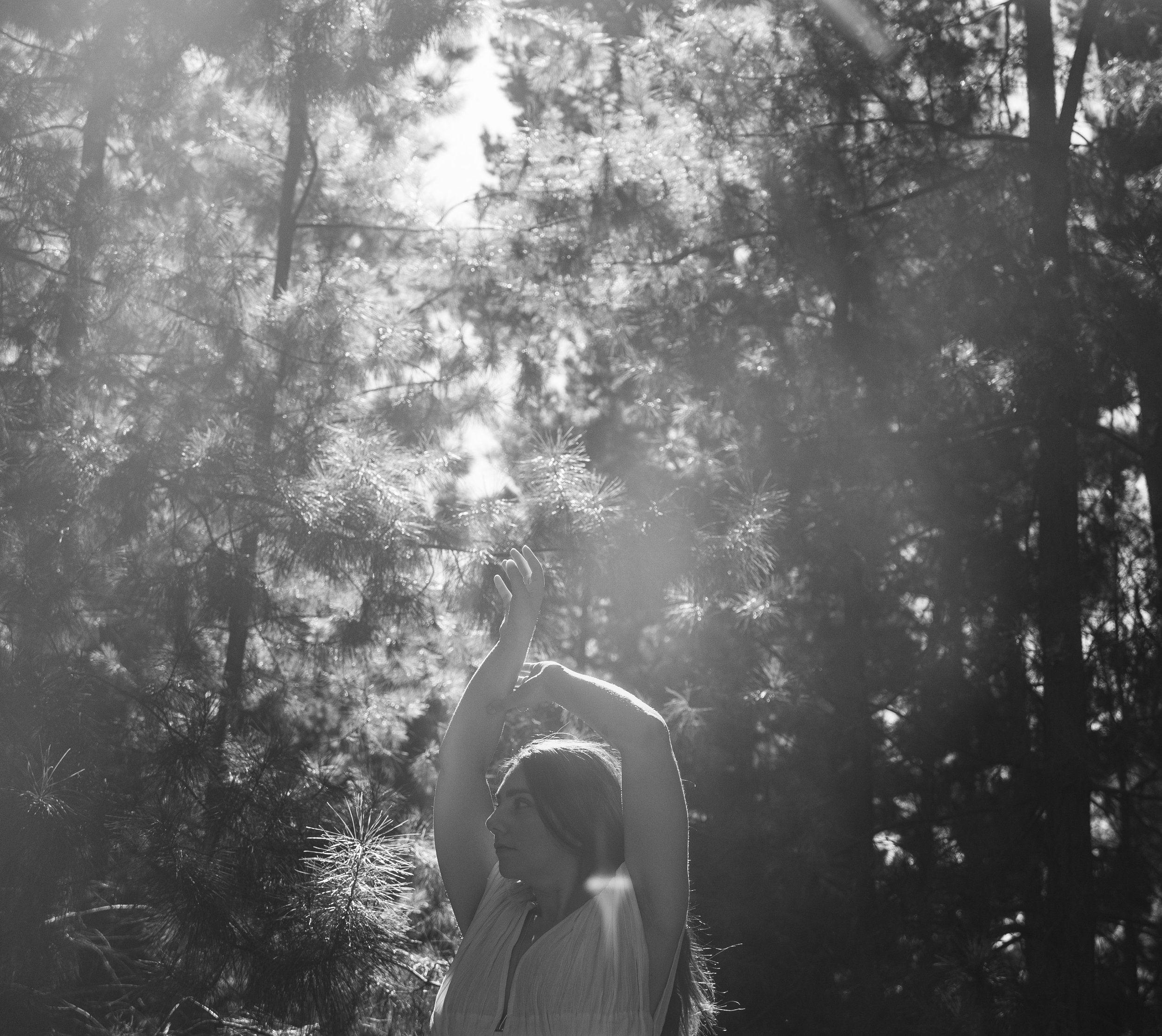 088A6452_1_website crop.jpg