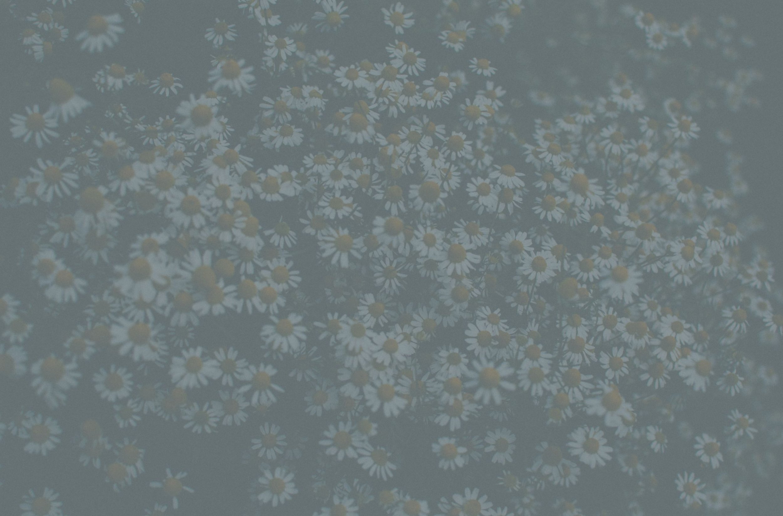 Breathe Sessions background image.jpg