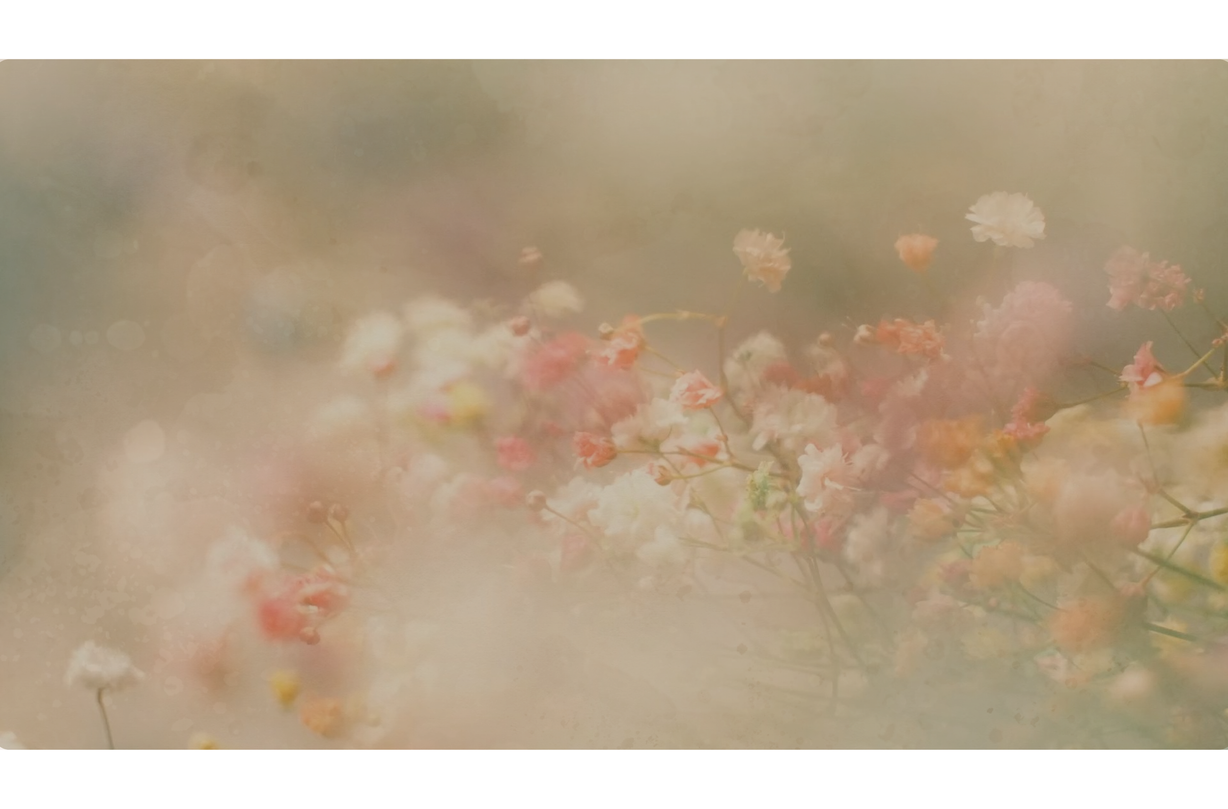 website banners (14).png