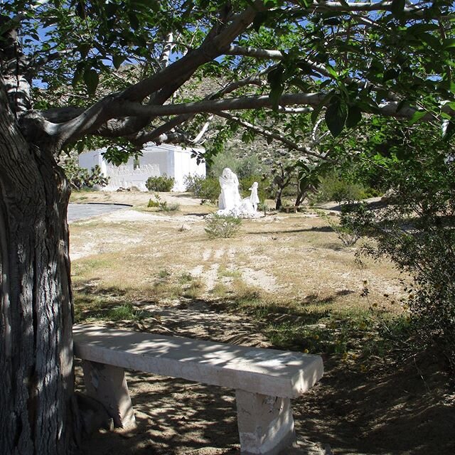 When a quiet moment is needed, find this shading spot 7 days a week 7 am to 6 pm at Desert Christ Park. 
#desertchristpark #christpark #yuccavalley #theplacetoseeinyv