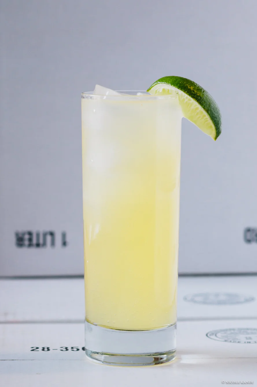 aloo_vodka_dandy_elixir_-4.jpg
