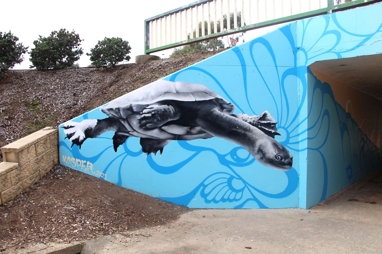 Pond Pals Underpass Mural In Wodonga