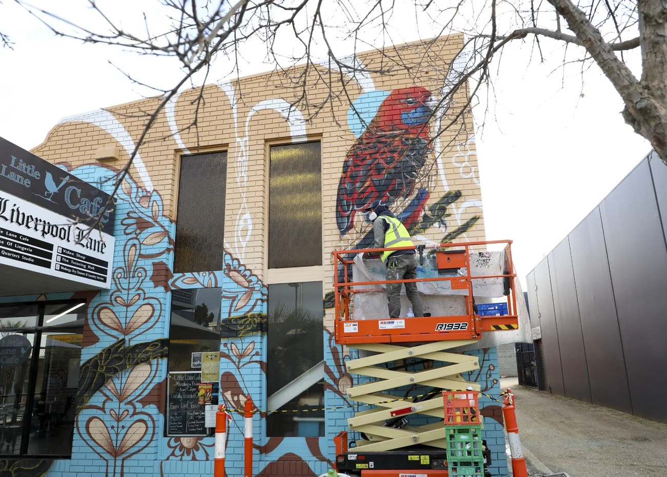 Red Crimson Rosella an animal and nature mural found at 1/4 Stanley St, Wodonga VIC 3690. This public artwork was commissioned by Wodonga City Council