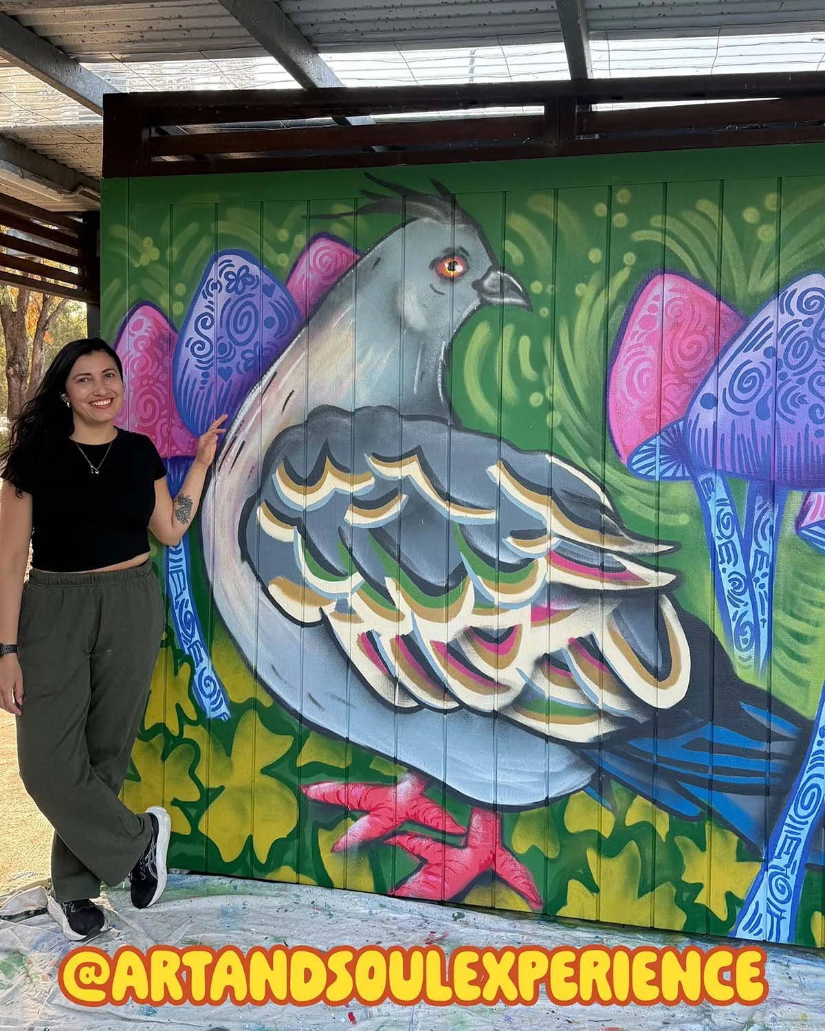 Mural Mentorship Program Creative Pathways Facilitated by Melbourne Graffiti Artist Lukas Kasper Funded By Brimbank City Council