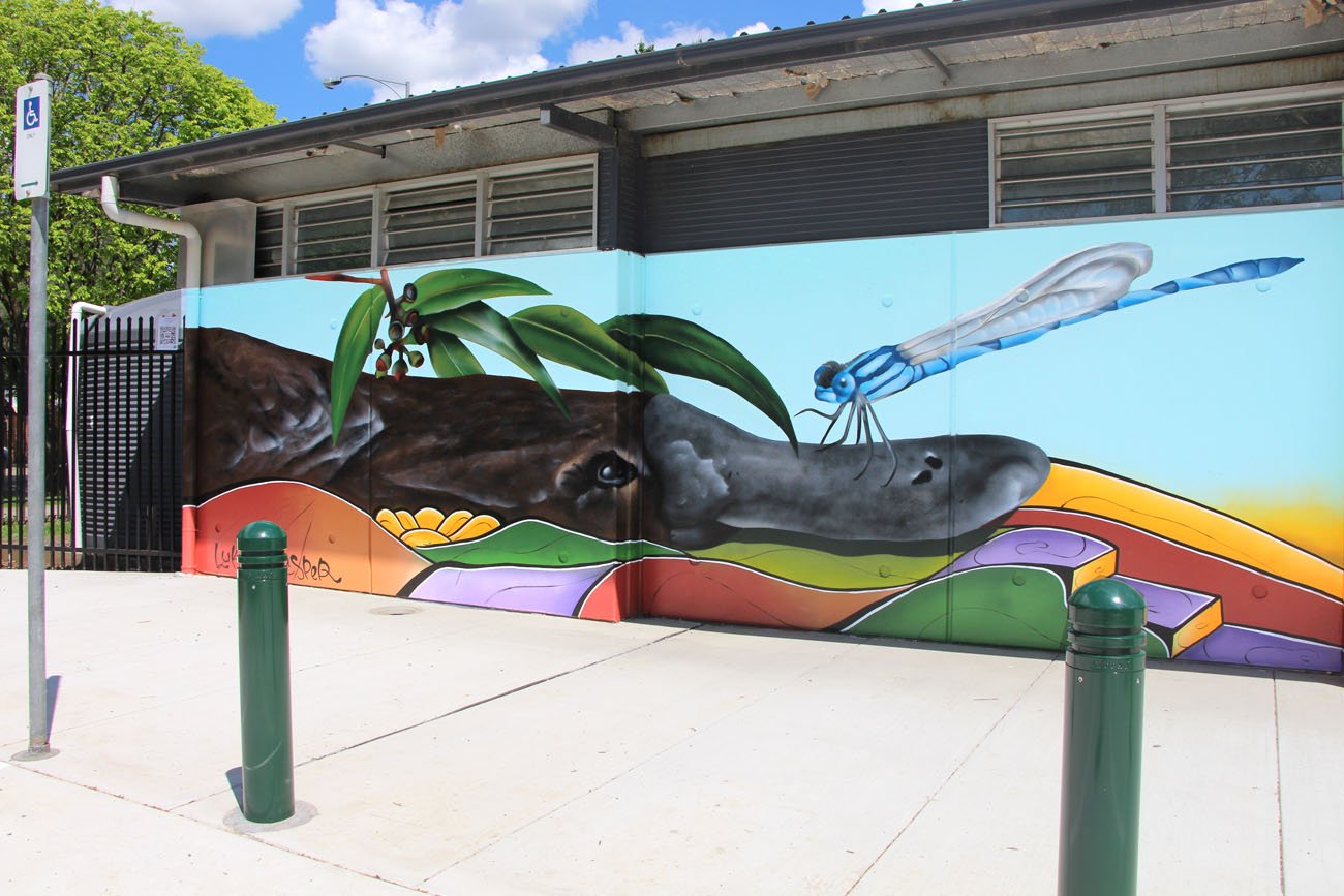 Platypus Alliance Mural in Bacchus Marsh by Lukas Kasper