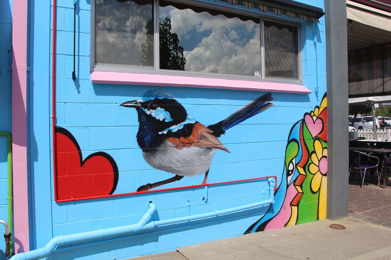 Blue Wren Mural painted on Henris Bakery found at 57 Hovell St, Wodonga VIC 3690