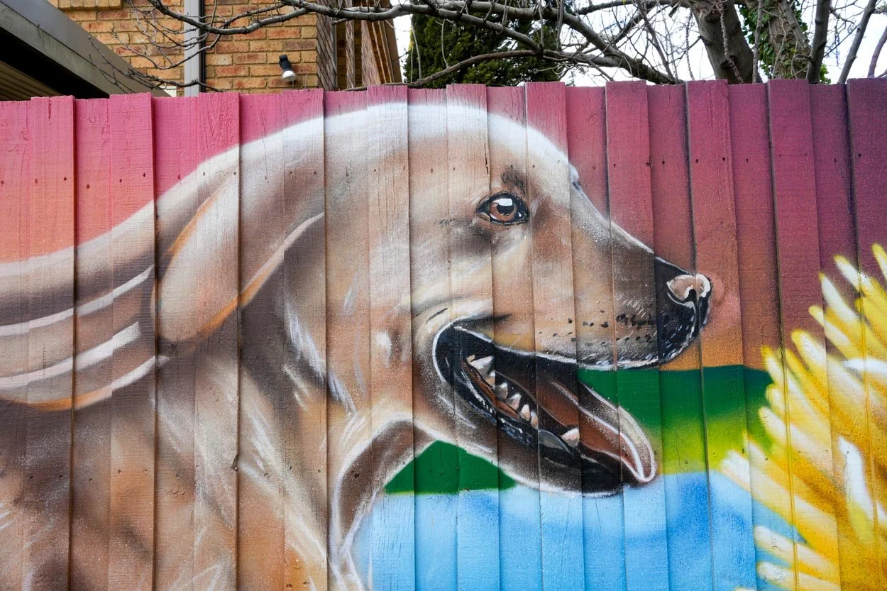 Dog Park Mural