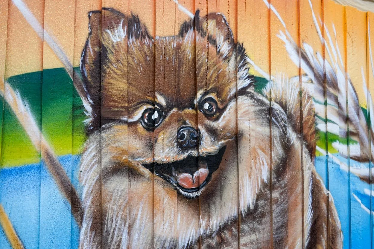Dog Park Mural