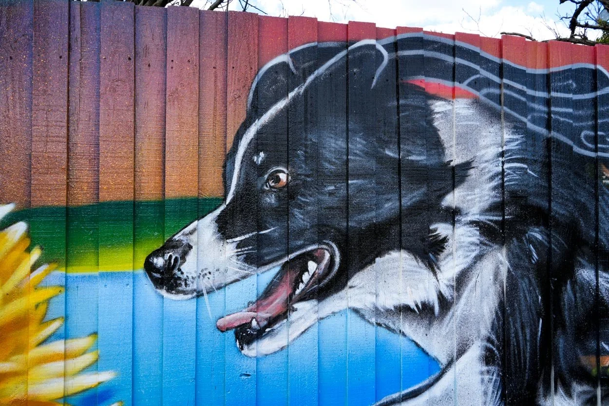 Dog Park Mural