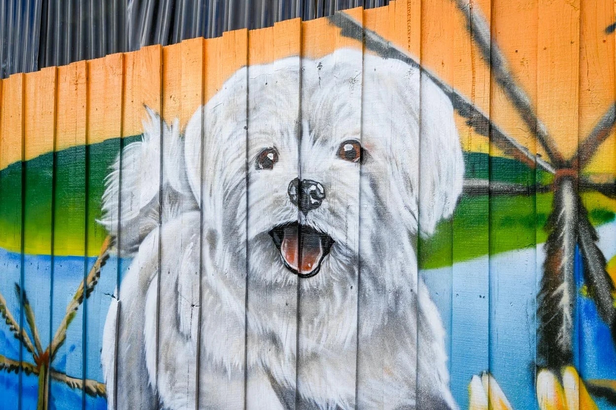 Dog Park Mural