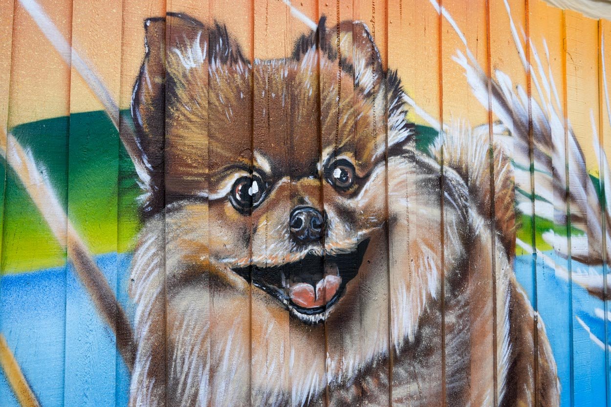 Sydenham Basin Reserve dog park mural by Melbourne mural artist Lukas Kasper for Brimbank City Council, featuring local flora, waterways, and neighborhood dogs.