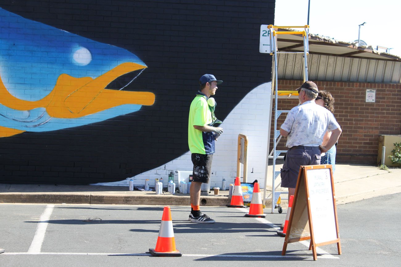 Murray Cod Mural painted in Albury Wodonga on Mahony's Newsagency