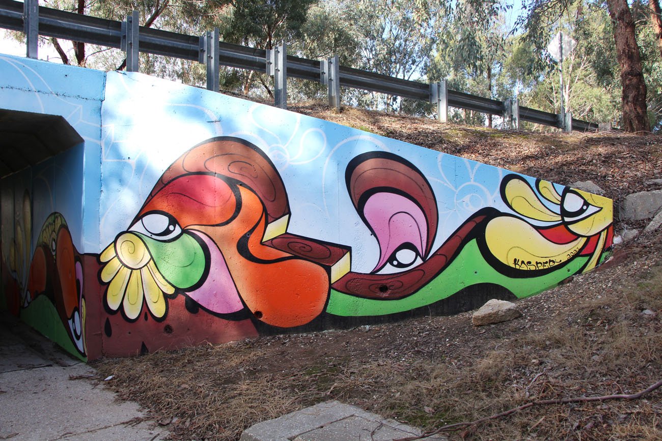 Fun In The Sun Underpass Mural in Baranduda