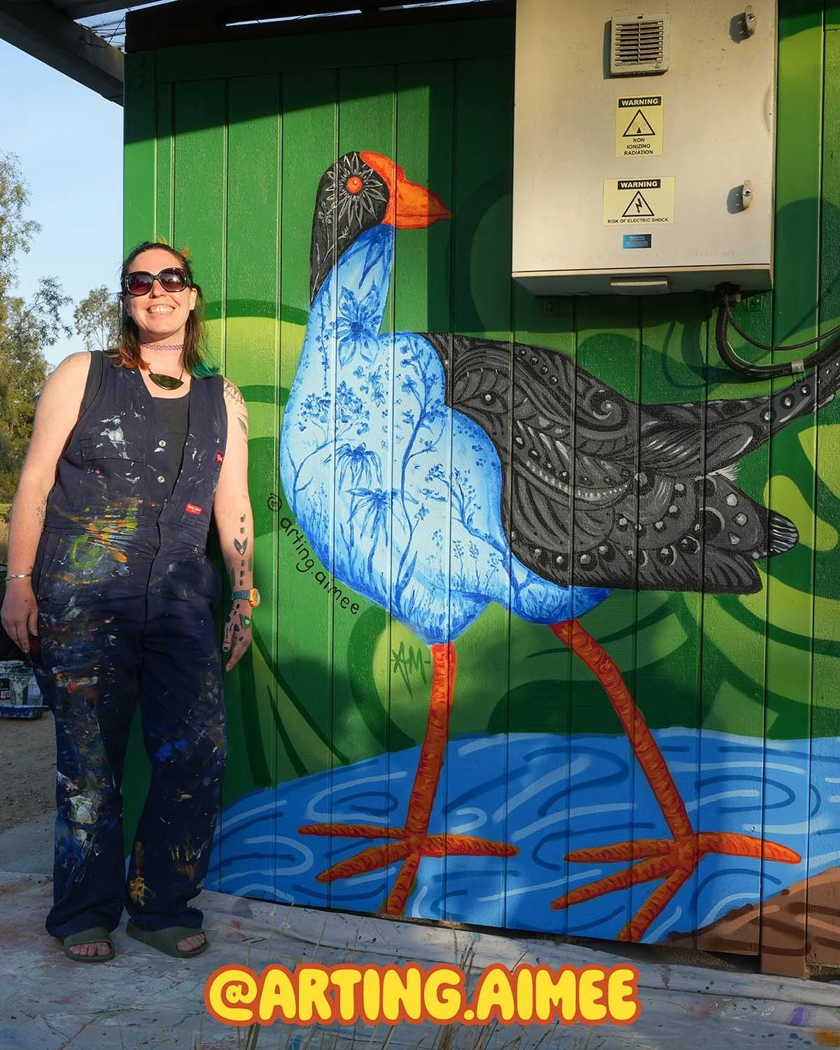 Mural Mentorship Program Creative Pathways Facilitated by Melbourne Graffiti Artist Lukas Kasper Funded By Brimbank City Council