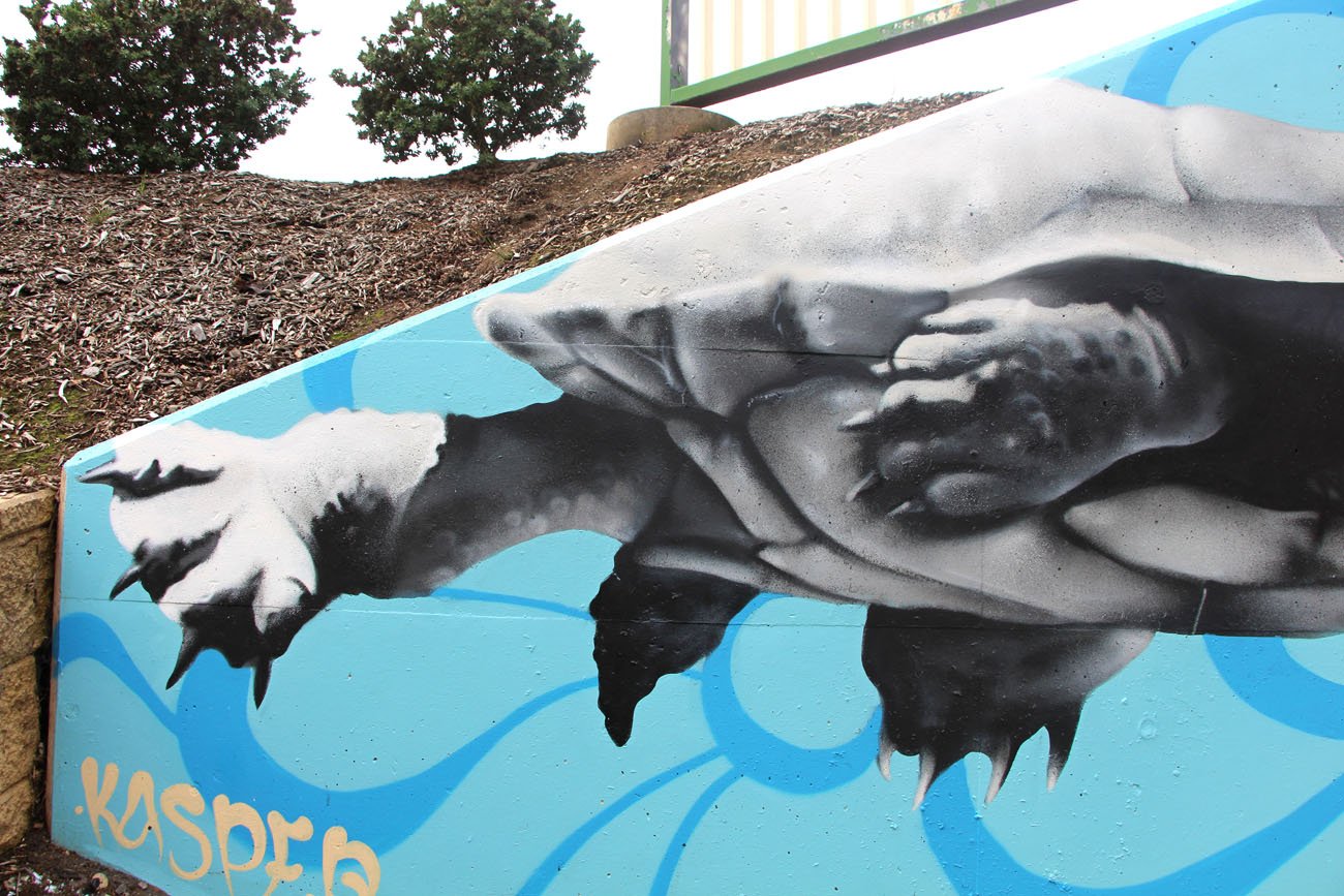 Pond Pals Underpass Mural In Wodonga