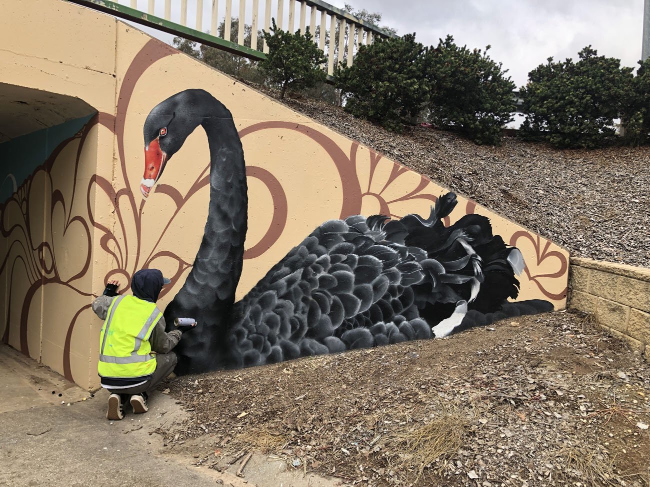 Pond Pals Underpass Mural In Wodonga